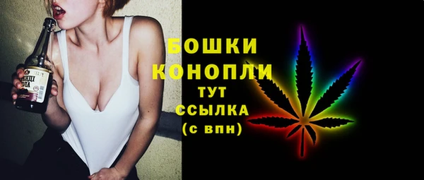 гидра Киренск