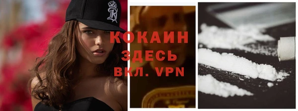 гидра Киренск