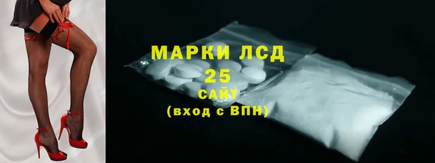 прущие грибы Кинешма