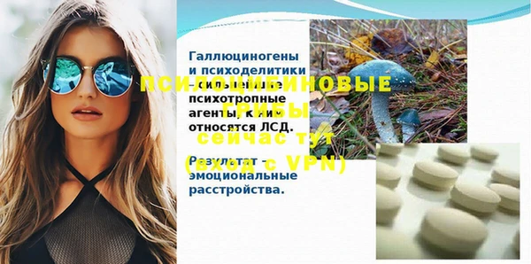 прущие грибы Кинешма
