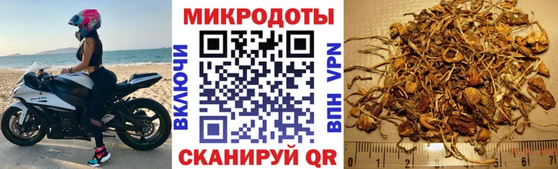 Купить Боровск Галлюциногенные грибы GOLDEN TEACHER